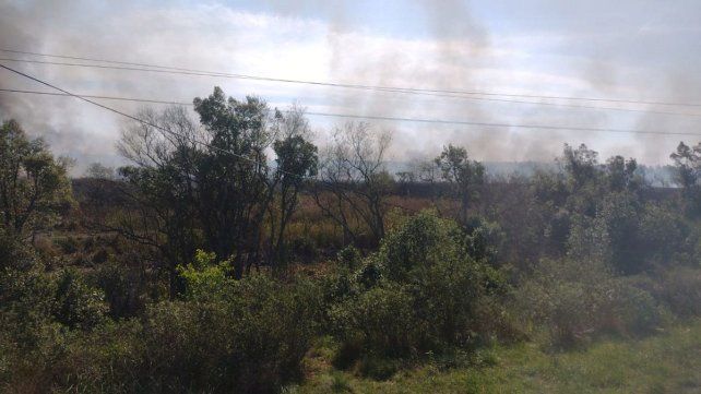 Un incendio de proporciones se produjo en la banquina de la ruta 12