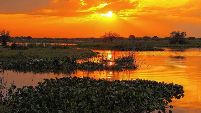 El Parque Nacional Pre Delta tendrá centro de investigación