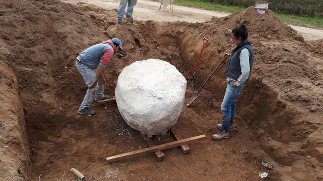 San José de la Esquina: hallaron restos fósiles de un gliptodonte
