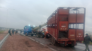 El camión volcado fue removida por una grúa y minutos después el tránsito se normalizó en la autopista a Santa Fe.&nbsp;