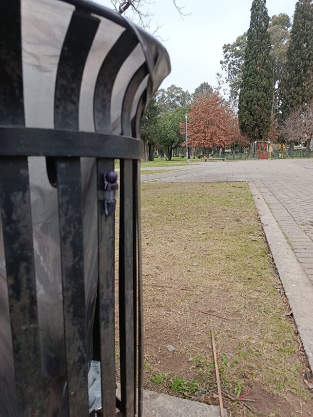 Viral: un niño inventó un juego de buscar muñecos escondidos en las calles de Rosario