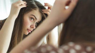 Hair Recovery : caída del cabello en verano