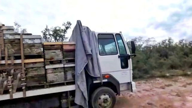 Recorriendo caminos. Tielemans trabaja llevando las colmenas de un punto a otro de la Argentina.