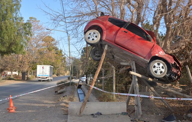 El auto quedó colgado de un árbol