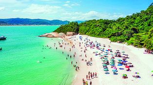 Las playas de Florianópolis son muy visitadas por turistas argentinos que buscan conocer Brasil.