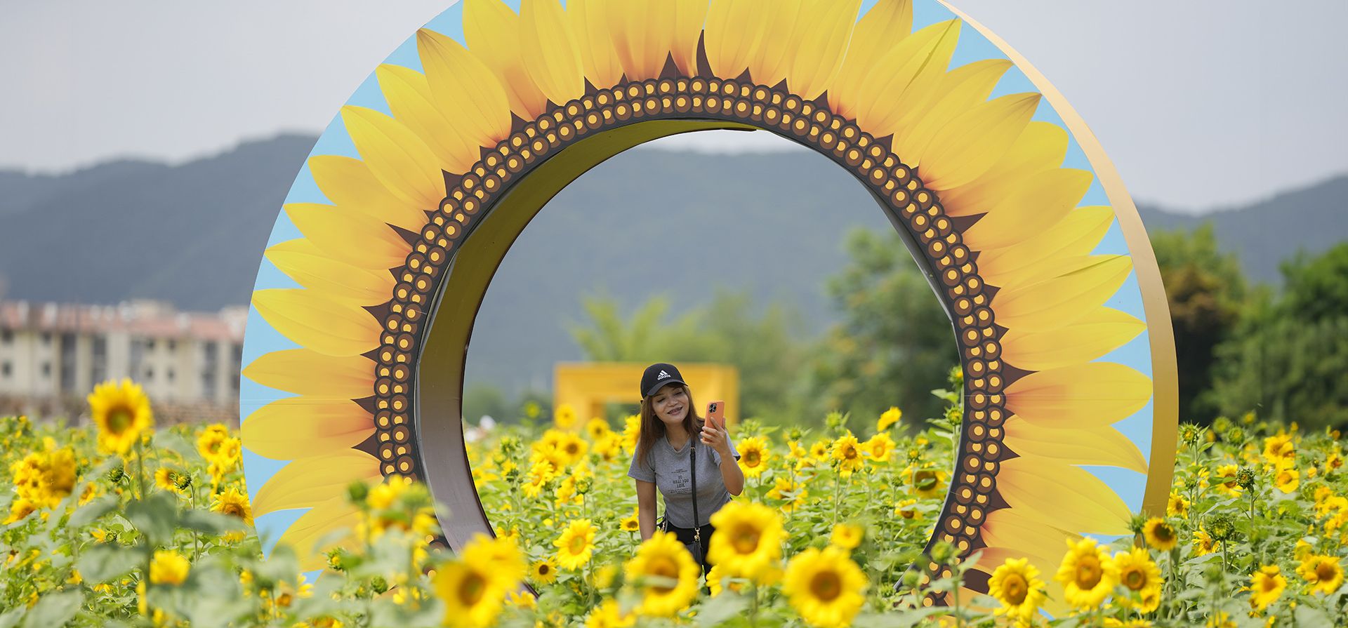 Una joven visitante sostiene realiza una selfie en un campo de girasoles en Paju, Corea del Sur, el viernes 23 de junio de 2023. (Foto AP/Lee Jin-man)