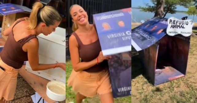 Virginia Gallardo construyó casitas de cartón para perros callejeros con sus viejos carteles de campaña