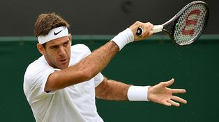 Del Potro debutó con un triunfo en Wimbledon