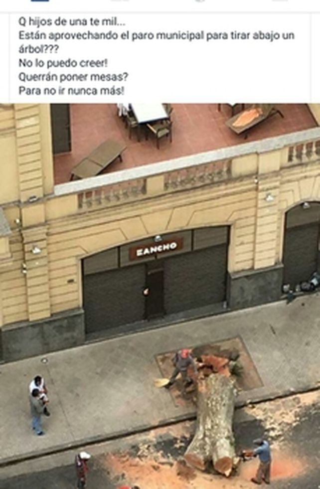 desde arriba. Los vecinos fueron testigos directos de la acción que se cometió frente a un restaurante.&nbsp;