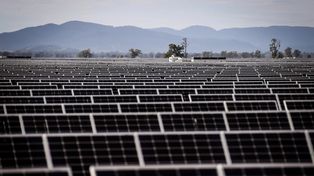 Alternativas de energía renovables que puede aprovechar el agro argentino
