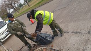 Alerta por tormentas en Santa Fe: refuerzan los operativos de limpieza con cuadrillas y maquinaria en toda la ciudad