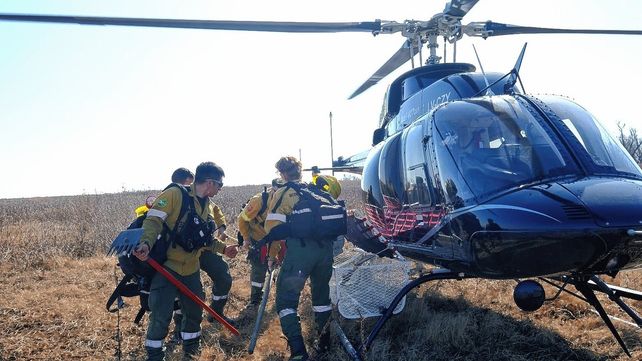 Incendios en el Delta: Ambiente aportó datos a la Justicia