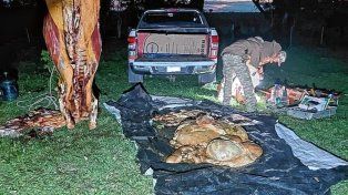 Un hombre fue detenido en Colón por abigeato en flagrancia