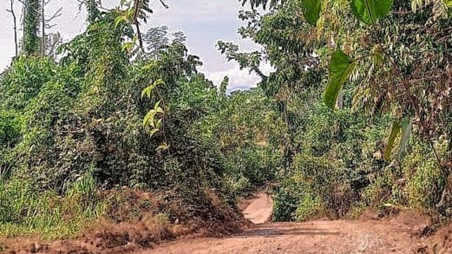 Selva amazónica. La población total estimada del vicariato apostólico es de casi 350.000 habitantes