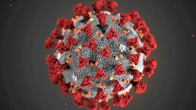 La nueva cepa de coronavirus se reportó en el Reino Unido. Según las primeras investigaciones sería más contagiosa que la anterior.