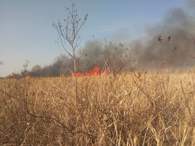 Detenidos por comer un asado e incendiar casi toda la isla