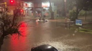 Paraná: autos varados