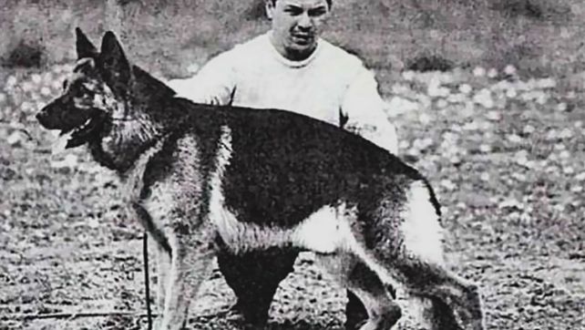 Chonino, el perro policía que es historia
