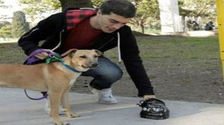 Sólo uno de cada tres dueños levanta las heces de su perro