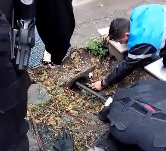Personal de Control y Convivencia y de la Brigada de Rescate Animal trabajaron para rescatar a los pequeños felinos atrapados en una cuneta.