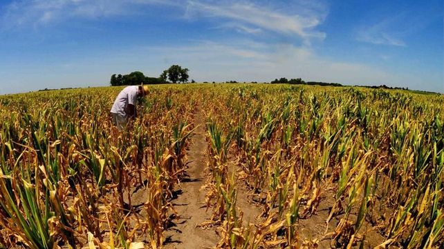 Financiamiento. La provincia recibió de la Nación $1.000 millones.