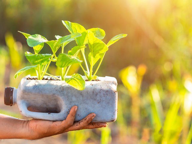Empresa rosarina quiere nutrir los cultivos de todo el Cono Sur para el ciclo 2025/26. Foto: Amauta.