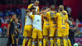 Tigres