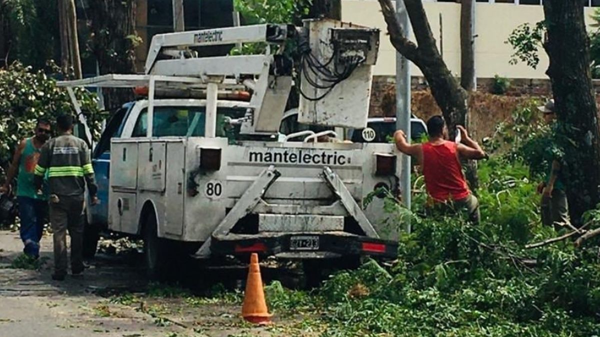 Vecinos se reúnen contra la tala de árboles centenarios en el parque ...