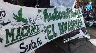 La Corte dictaminó que habrá control estatal para autocultivo de cannabis