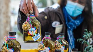 Tradición milenaria. Este lunes hay que tomar tres sorbos de caña con ruda en ayunas.