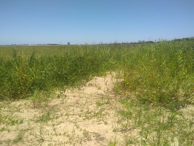 As&iacute; se ve parte de la playa en el Espig&oacute;n II.