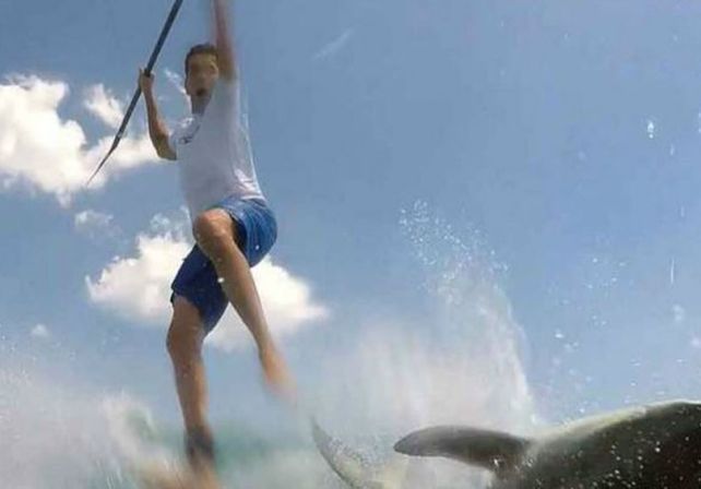 Un paddleboarder se defendió de un tiburón que lo tumbó de su tabla