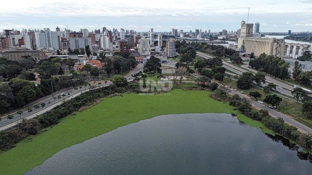 Suciedad en el lago del Parque del Sur: instalarán cinco bombas de filtrado para oxigenar y limpiar el agua