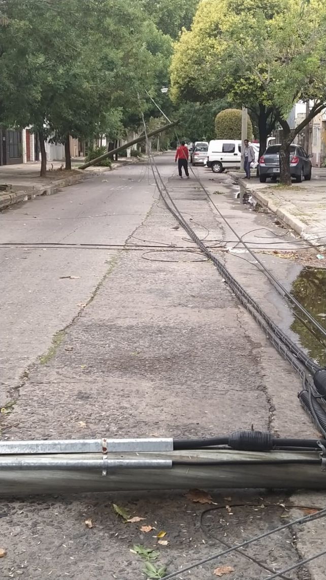 Temporal en Rosario: 50 milímetros de lluvia en una hora, calles anegadas y árboles caídos