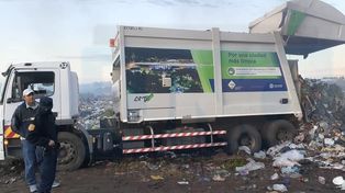 A diario se reúnen decenas de personas en el campo del Abasto para la recolección informal.