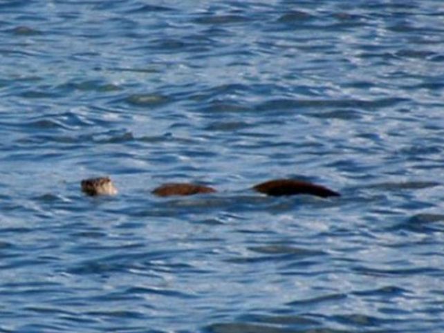 ¿Fin del mito para el monstruo del lago Ness?