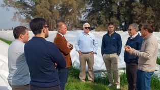 Tokenización de silobolsas. El comienzo de una nueva era en la gestión de activos agrícolas.