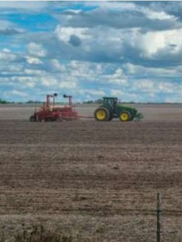 Arrancó la siembra de soja en el centro norte santafesino y apunta a cubrir 1,1 millón de hectáreas