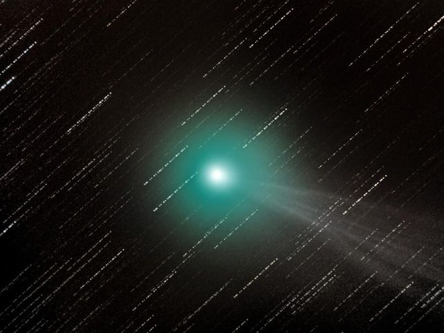 Joven fotógrafo del año GANADOR DEL PREMIO JOVEN FOTÓGRAFO DEL AÑO Con el título “Un visitante celestial”