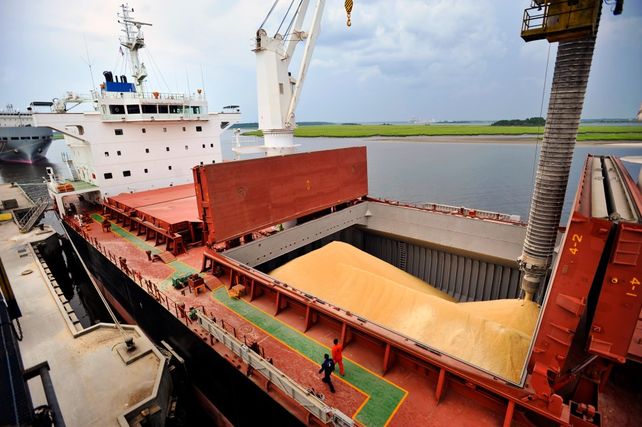 Exportaciones agropecuarias en alza: Argentina certificó más de 62 millones de toneladas entre enero y agosto