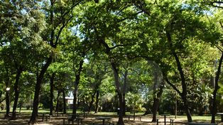 La zona norte tendrá su parque en Gorriti, entre Peñaloza y Zavalla
