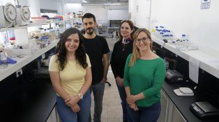 Una startup rosarina fabrica cuero a base de hongos y despertó el interés de Adidas 