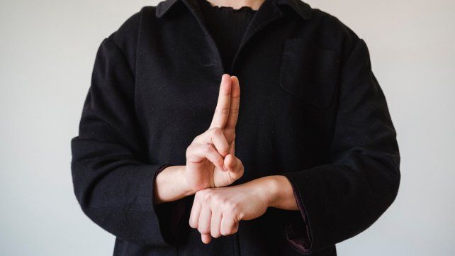 La iniciativa de Lengua de Señas será tratada el miércoles en la Comisión de Discapacidad. Alcanzaría a quienes se desempeñen en la función pública