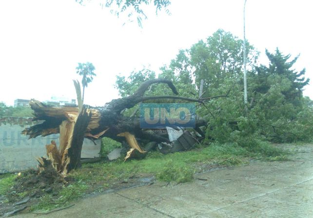 Terrible temporal de lluvia y viento generó graves destrozos en Paraná