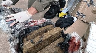 Enviaron a Paraná 22 kilos de marihuana en encomiendas
