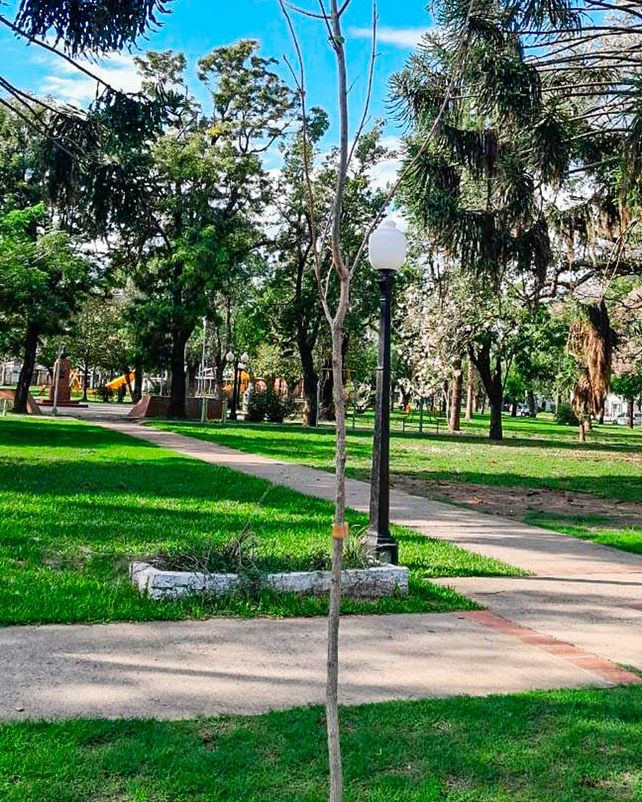 La plaza. En el centro de la "futura ciudad", sería la tercera del departamento Iriondo.