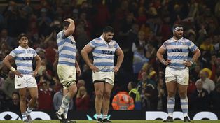 Decepción. Los jugadores de Los Pumas no ocultan su pesadumbre tras caer ante Gales.