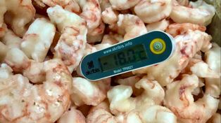 El cargamento de langostinos que se envió tiene un peso neto total de 23.306 kilogramos.