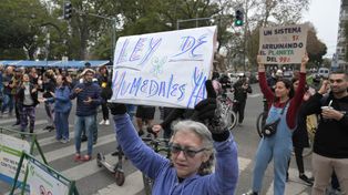 Desde hace una semana se producen incendios en zona de humedales e islas ubicadas en jurisdicción de Entre Ríos, quemas que son combatidas por brigadistas de Santa Fe y Entre Ríos