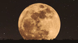 La luna llena del castor será la superluna más grande y brillante del año La luna llena del castor será la superluna más grande y brillante del año